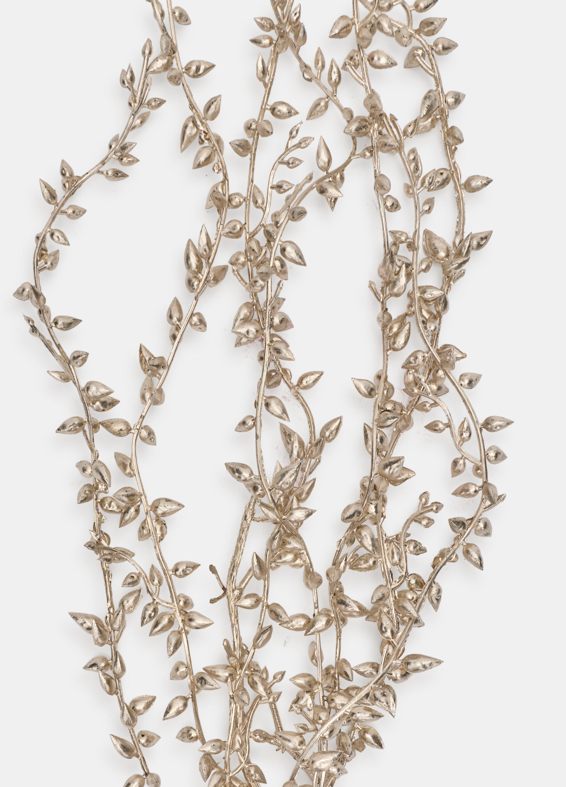 Ramo argentato con foglie_1