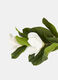 Magnolia decorativa con ramo e foglie_1