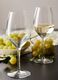 Set of 6 white wine glasses_0