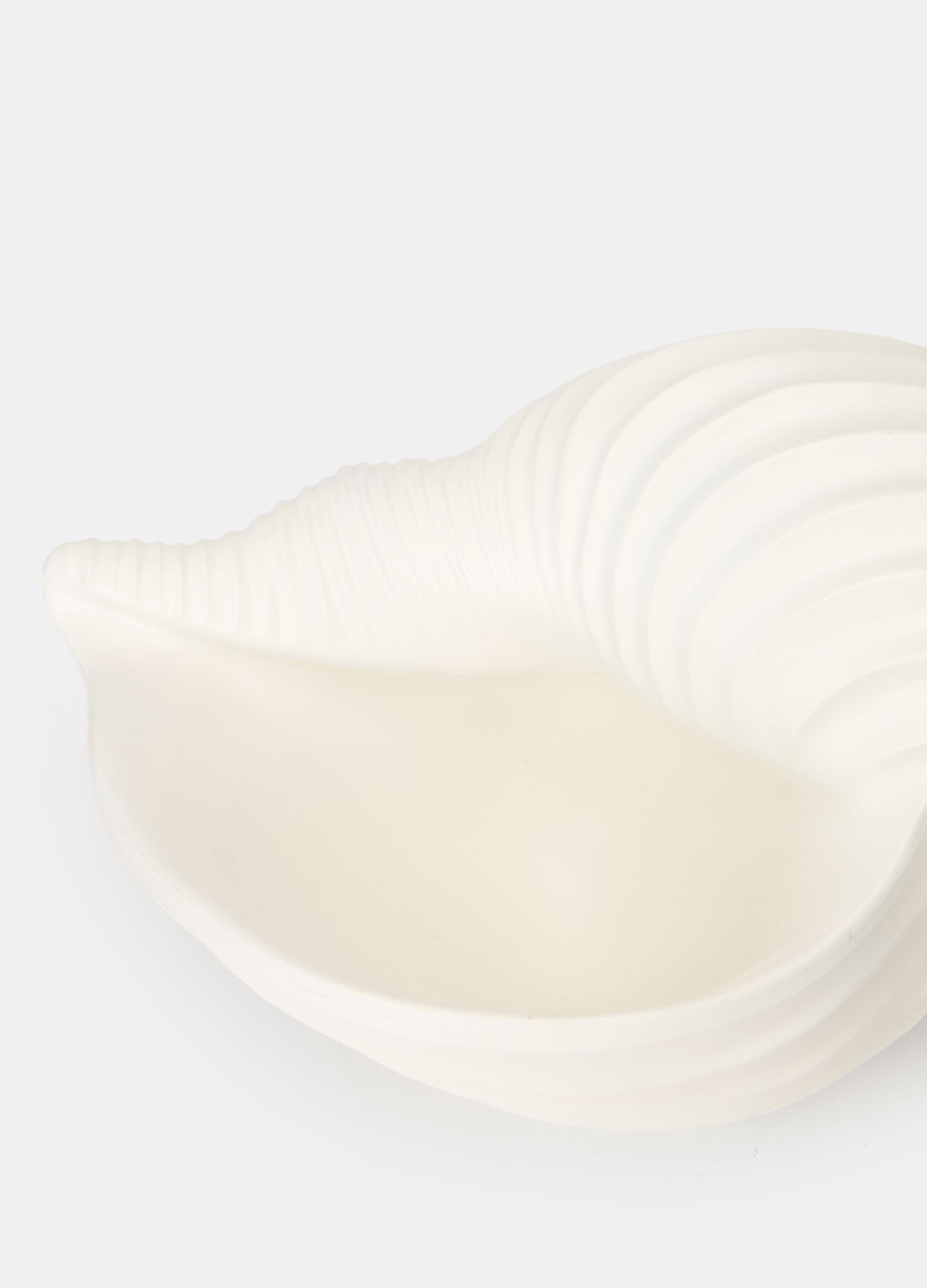 Conchiglia decorativa in resina_1