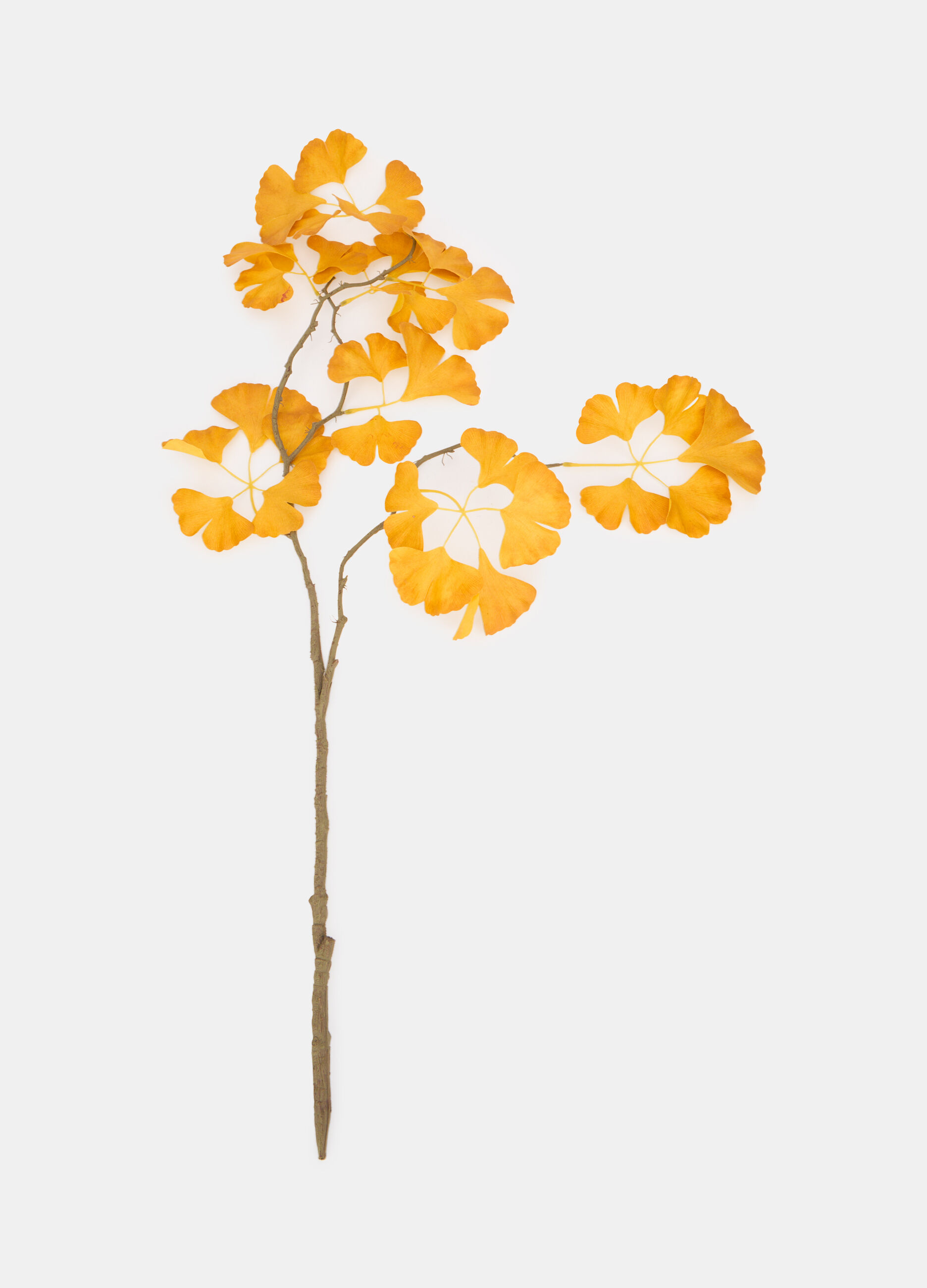 Ramo di ginkgo finto_0