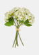 Bouquet of false hydrangeas_0