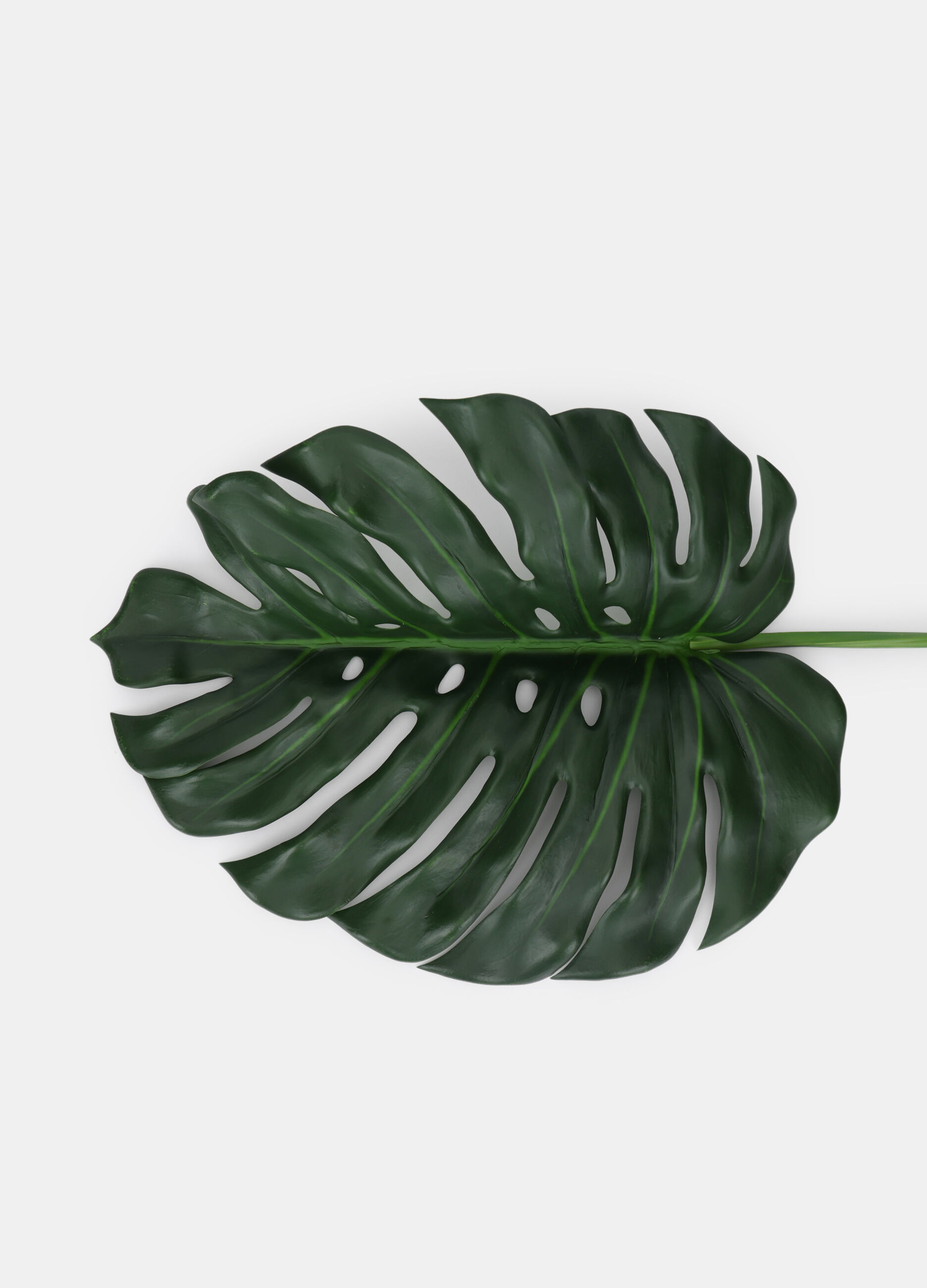 Foglia di monstera finta_1