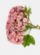 Bouquet of false hydrangeas_1