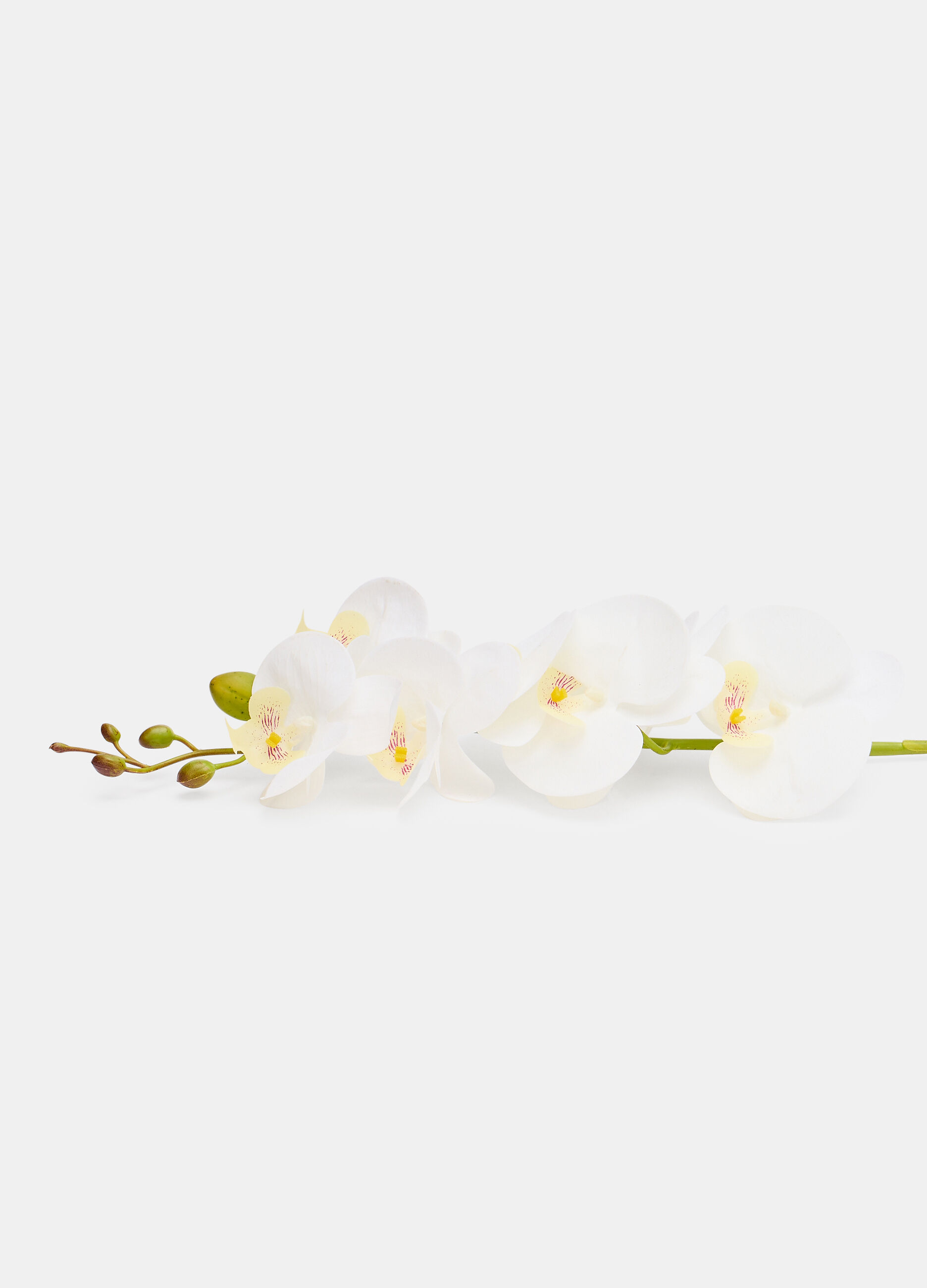 Faux orchid on a stem_1