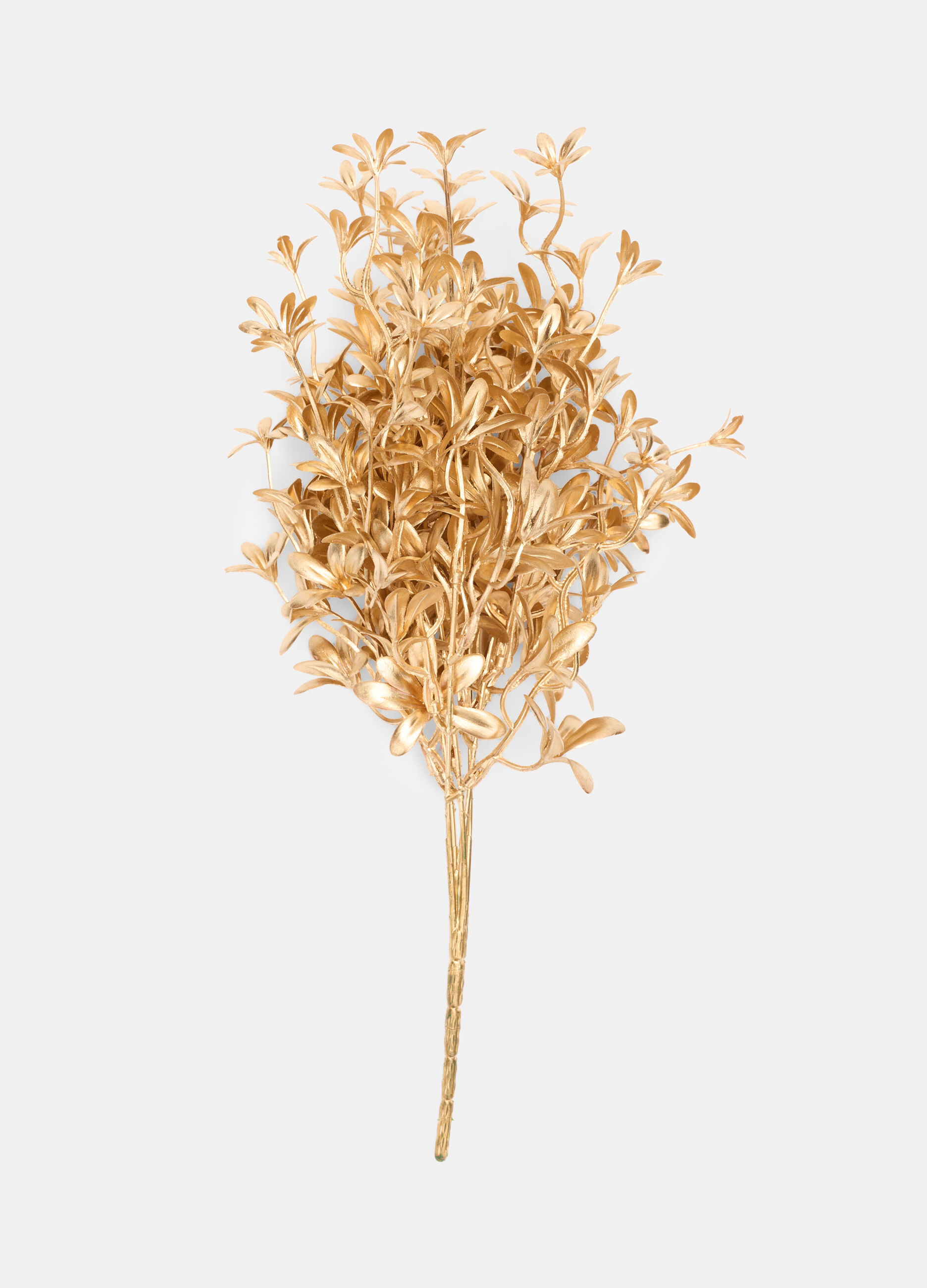 Ramo dorato con foglie_0