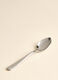 Mini spoon in steel_1