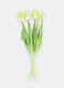 Bouquet of false tulips_0