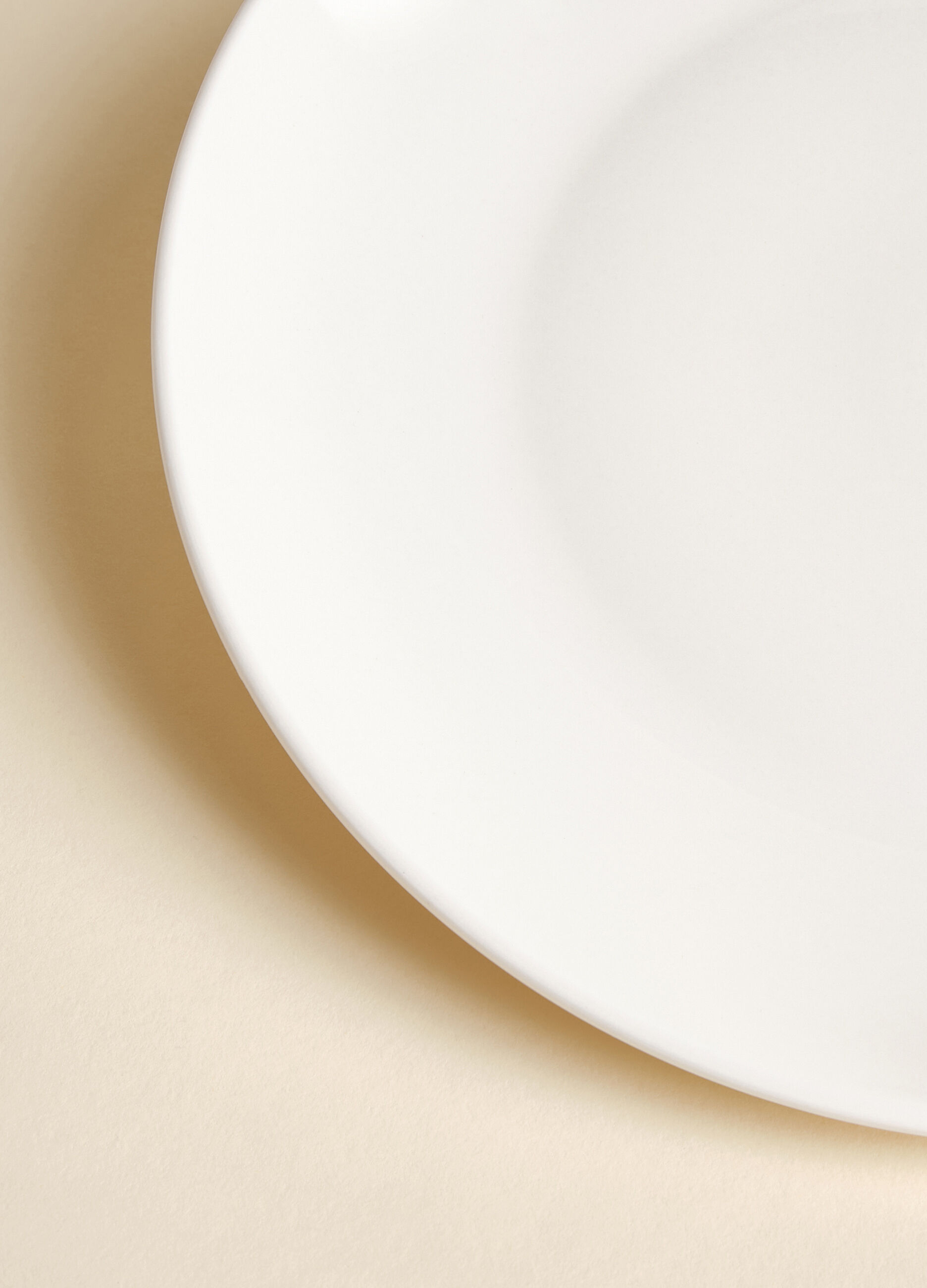 Plate in porcelain_2