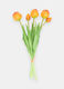 Bouquet of false tulips_0