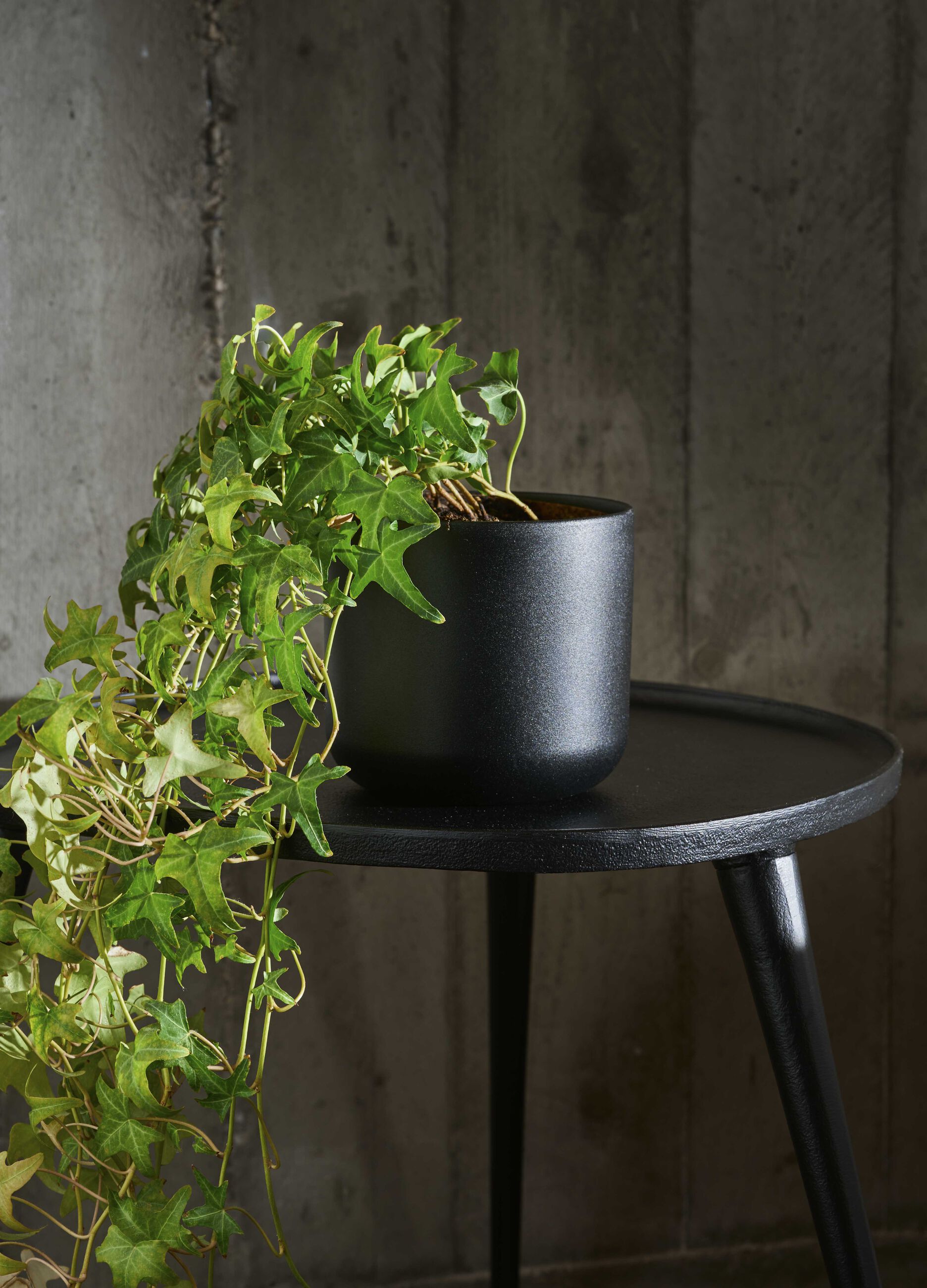 Vaso in ceramica_0