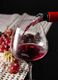 Set of 2 wine pourers_0