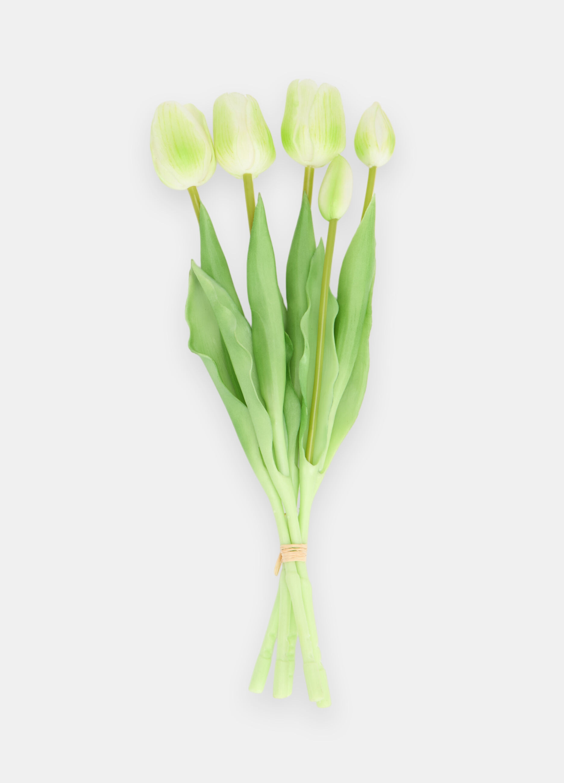 Bouquet of false tulips_0
