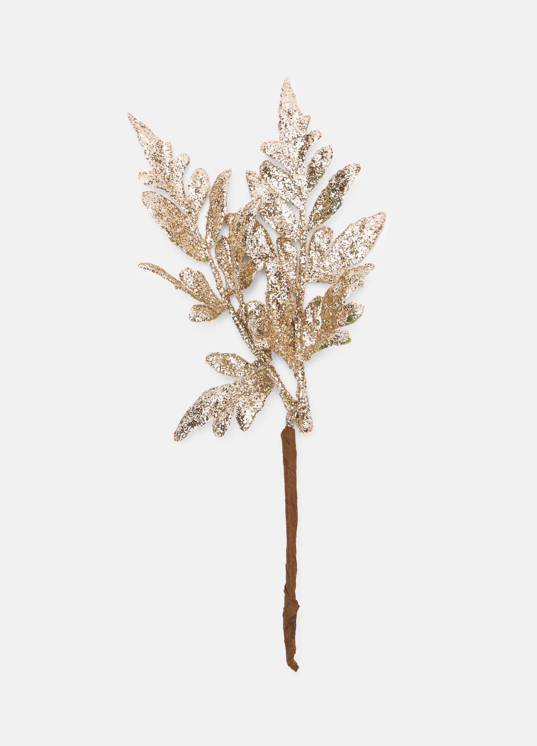 Ramo decorativo con foglie glitterate_0