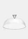 Glass bell jar_0