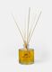 Spicy sweet orange room diffuser_1