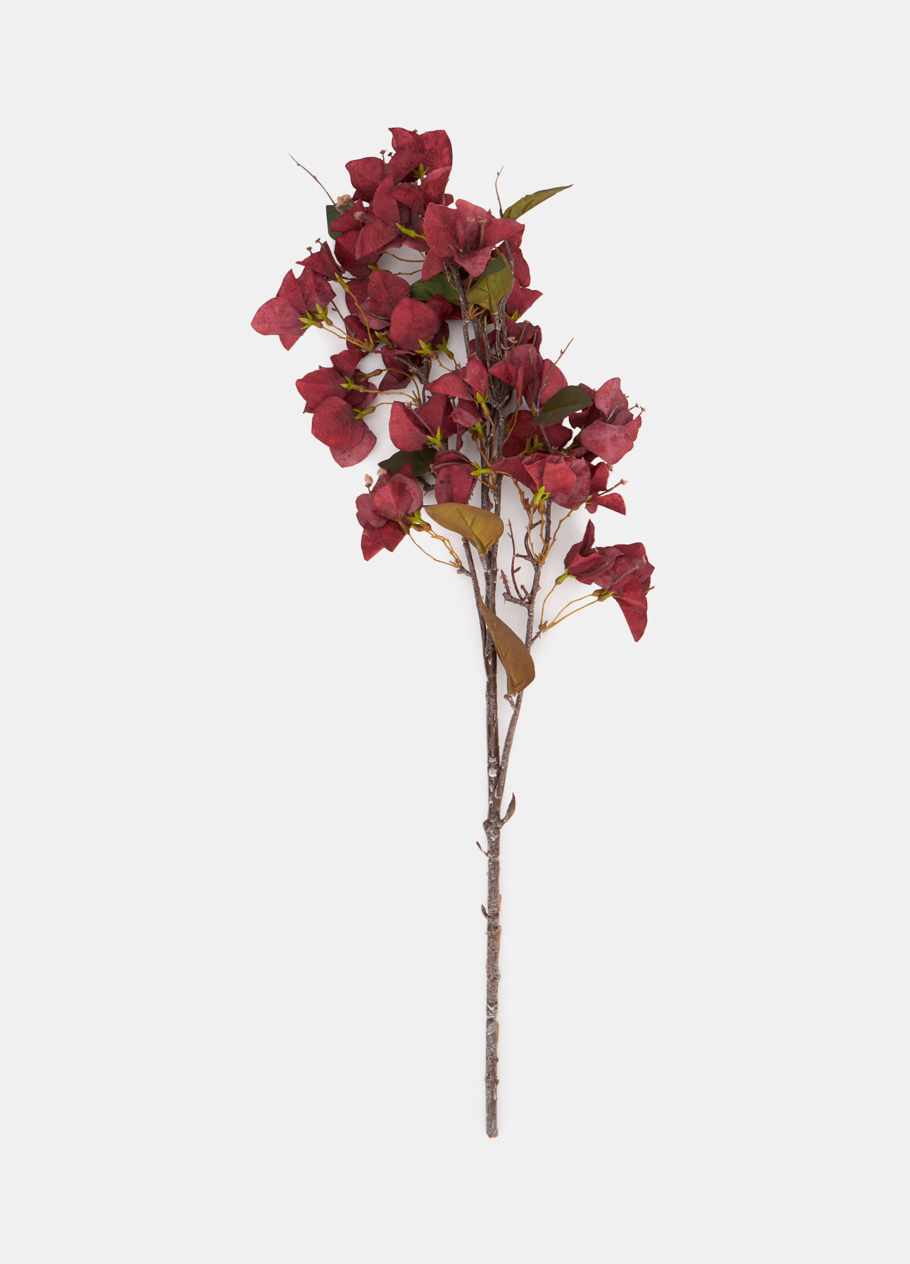 Mazzo di bouganville finta_0