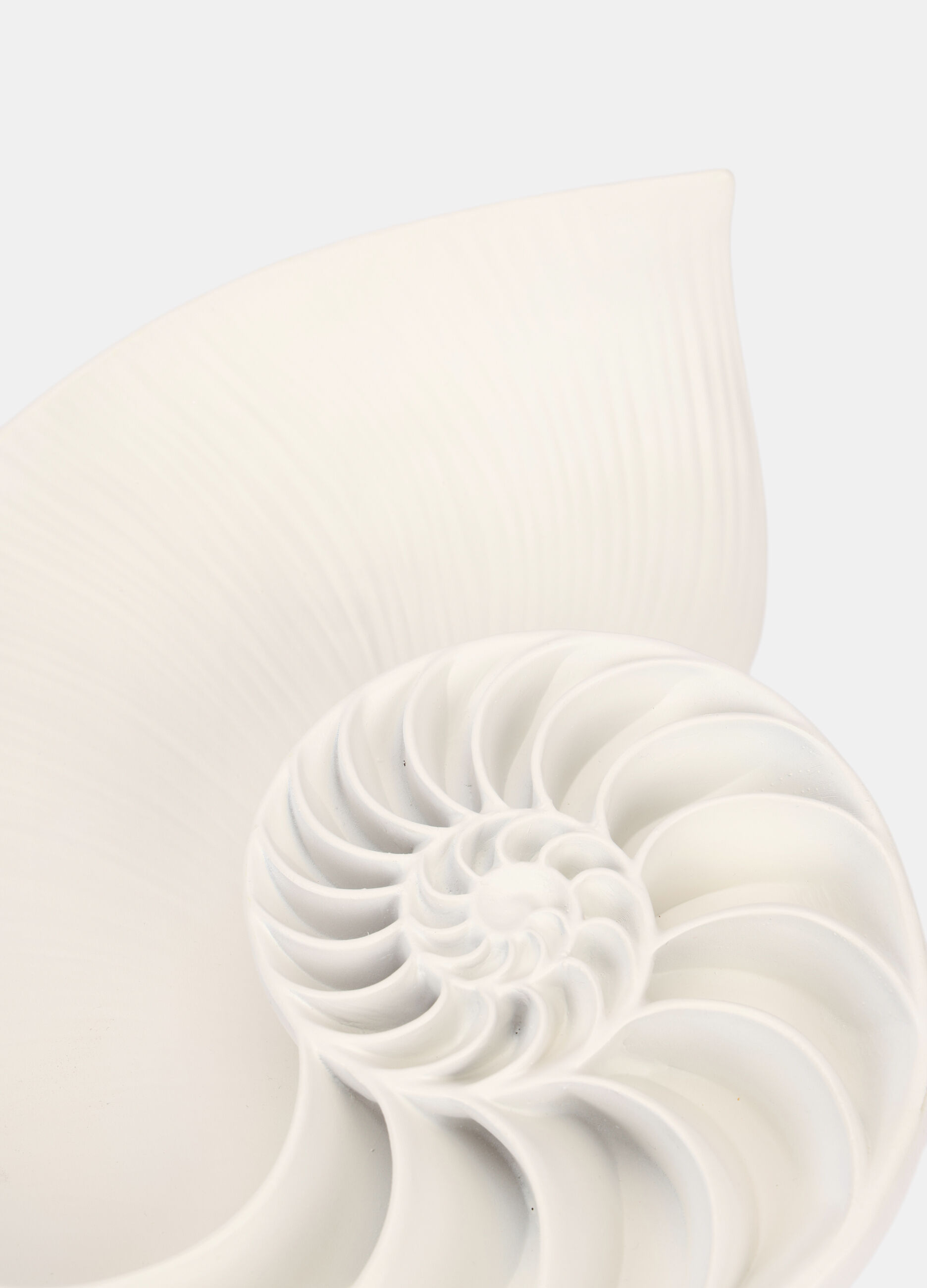 Svuotatasche a conchiglia in ceramica_2