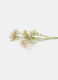 Mazzetto di gypsophila finta_1