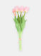 Bouquet of false tulips_0