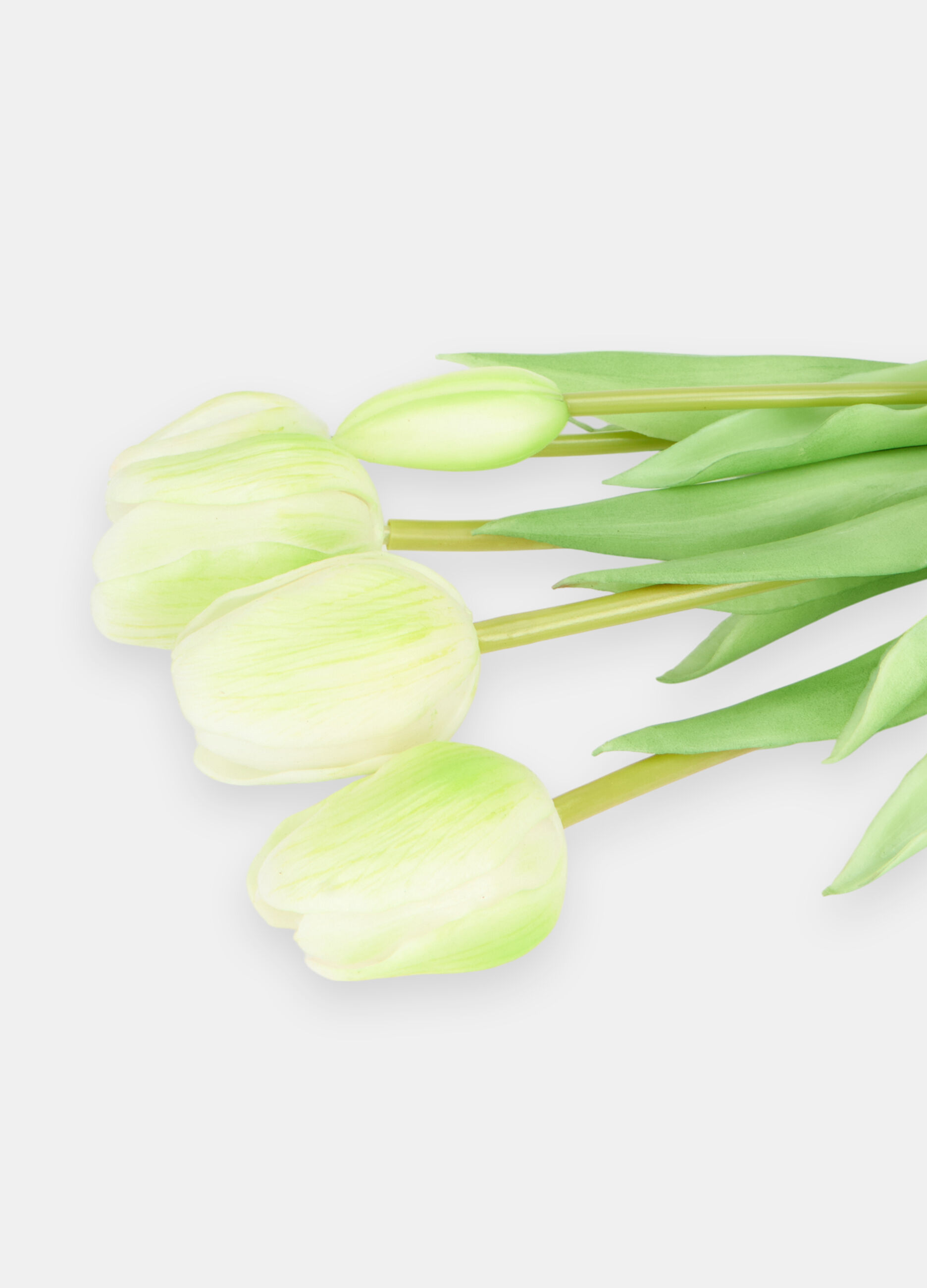 Bouquet of false tulips_1