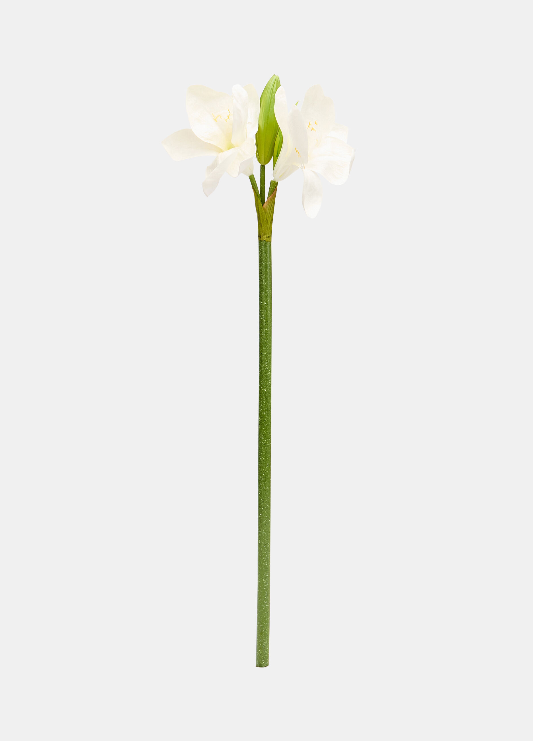 Faux amaryllis on a stem_0