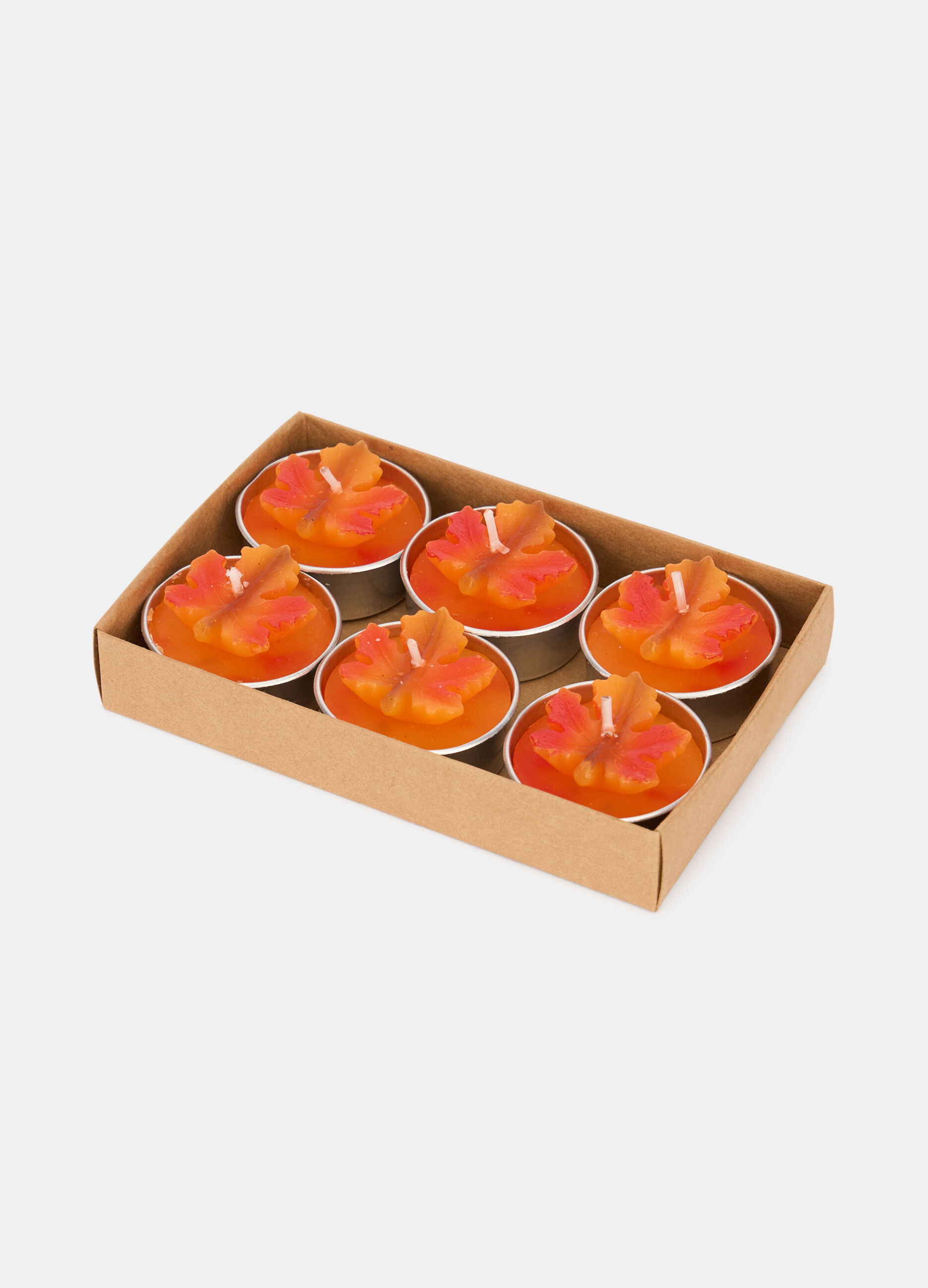 6 pack candeline foglia d'acero_0