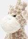 Gioco Peluche Giraffa_1