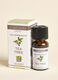 Tea tree essential oil_2