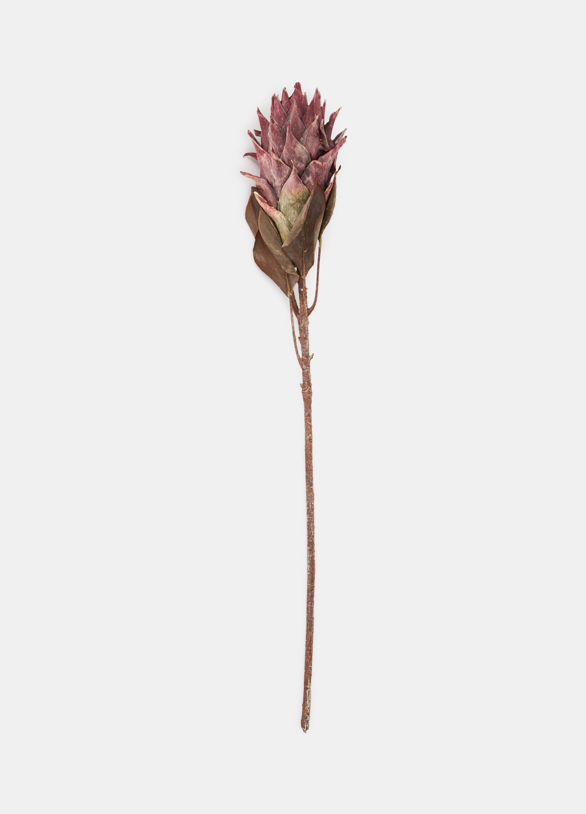 Fiore di protea finto_0