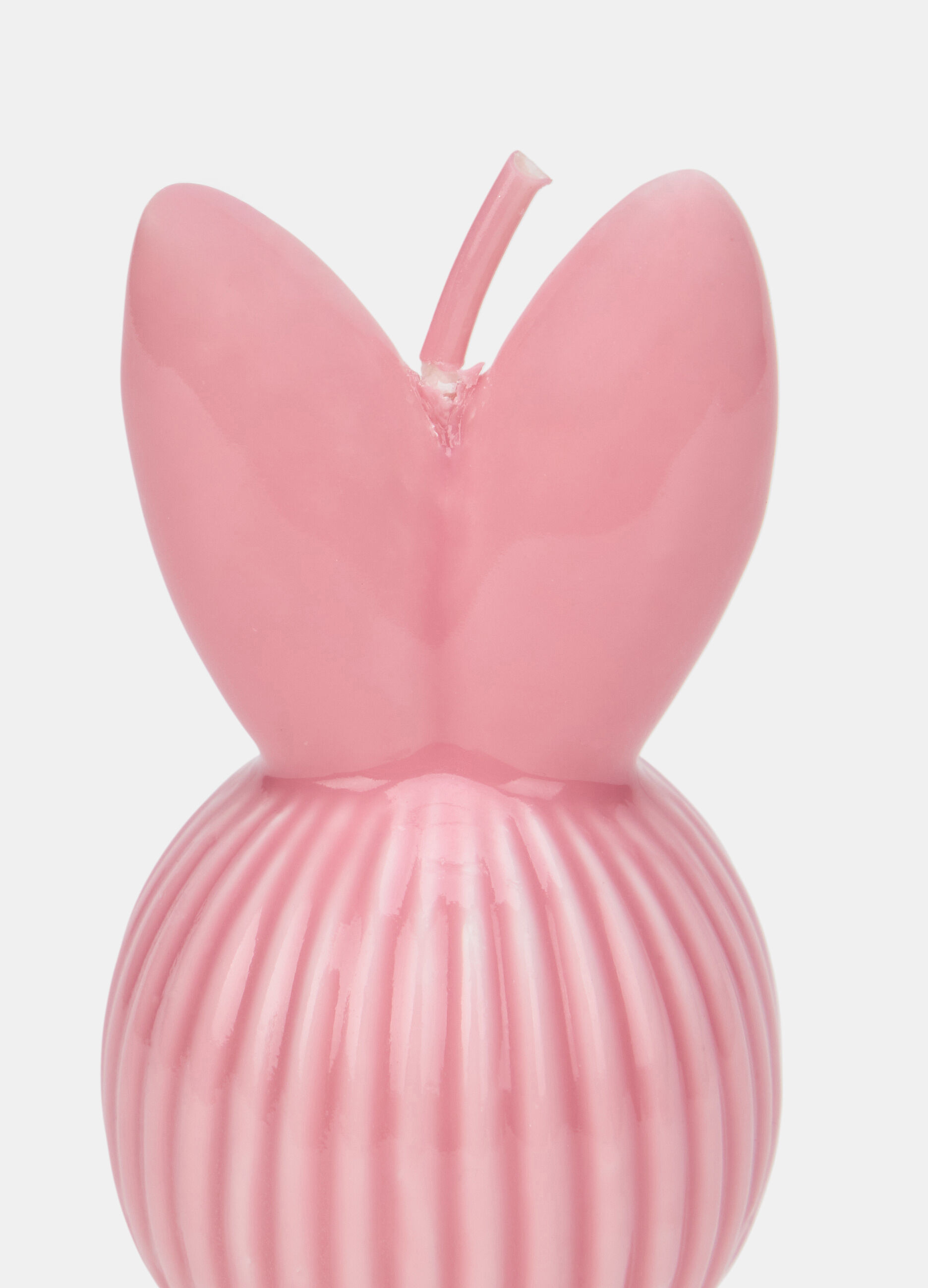 Candela coniglietto_1