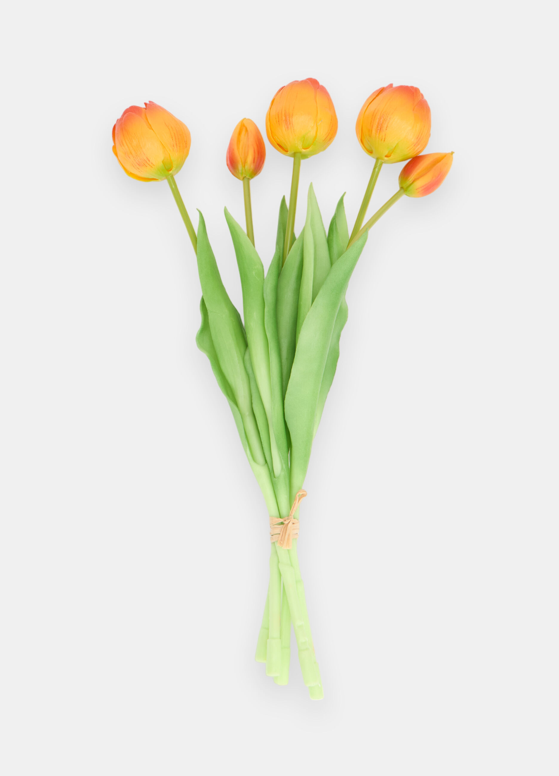 Bouquet of false tulips_0